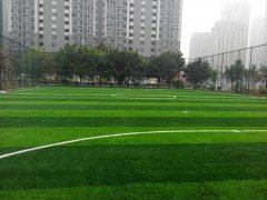 廣東清遠鐵塔公園人造足球場